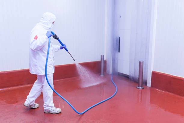 Best Gutter Cleaning and Brightening in Waterville, OH
