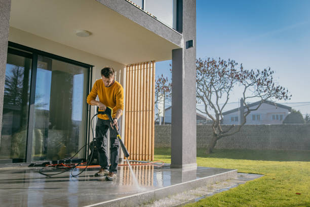 Best Soft Washing for Delicate Surfaces in Waterville, OH